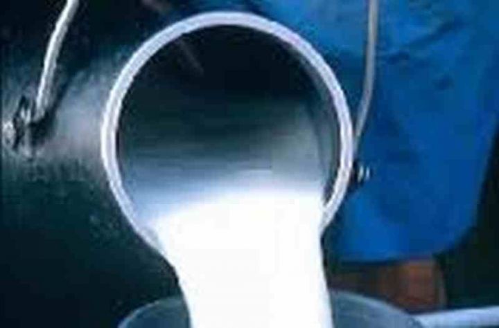 Ежедневная выручка от реализации молока в хозяйствах составляет 1 млн. 650 тыс. рублей