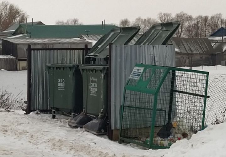 В Новошешминске с лета прошлого года внедрен раздельный сбор мусора