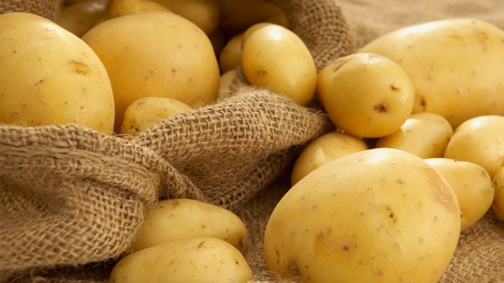 Аграрии Татарстана завершили уборку картофеля, кукурузы, подсолнечника