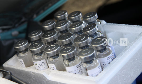 Вирусолог: Шансы заразиться и умереть от коронавируса в тысячи раз выше, чем риски, связанные с вакциной