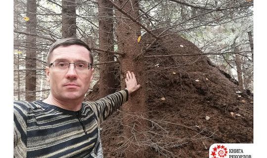 Самый большой муравейник  России обнаружен в Кукморском районе