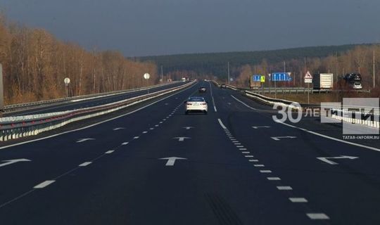 При строительстве трассы Москва – Казань леса дополнительно вырубаться не будут