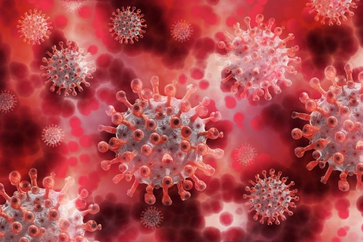 Два новых случая смерти от коронавирусной инфекции зарегистрированы сегодня в Татарстане
