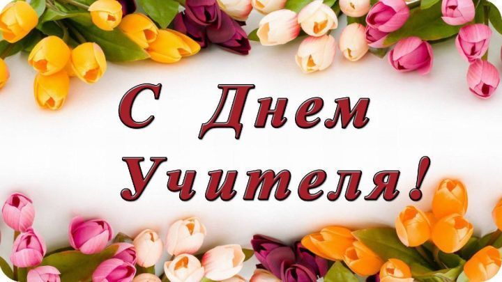 Новошешминских учителей чествовали в Казани