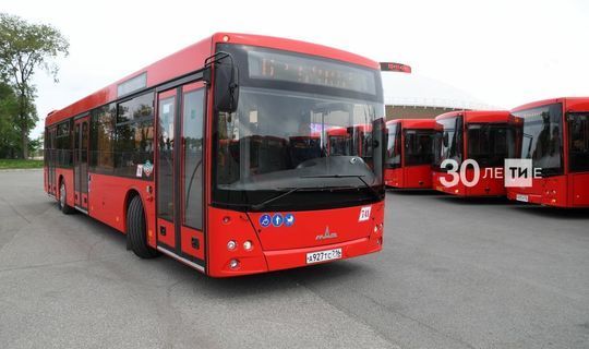 В Татарстане продолжится проект по аресту пассажирских автобусов