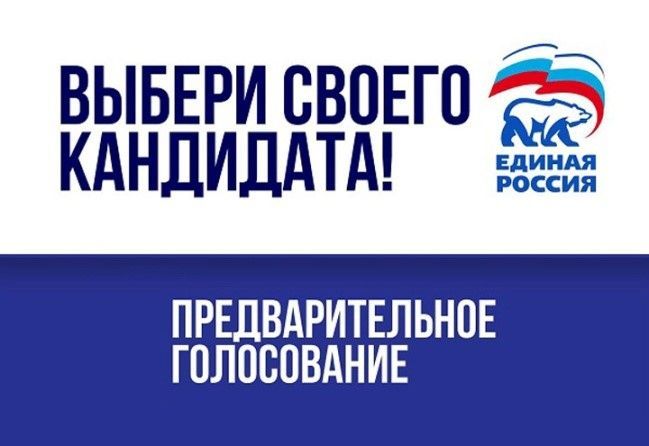 В Новошешминске начался прием документов для участия в предварительном голосовании
