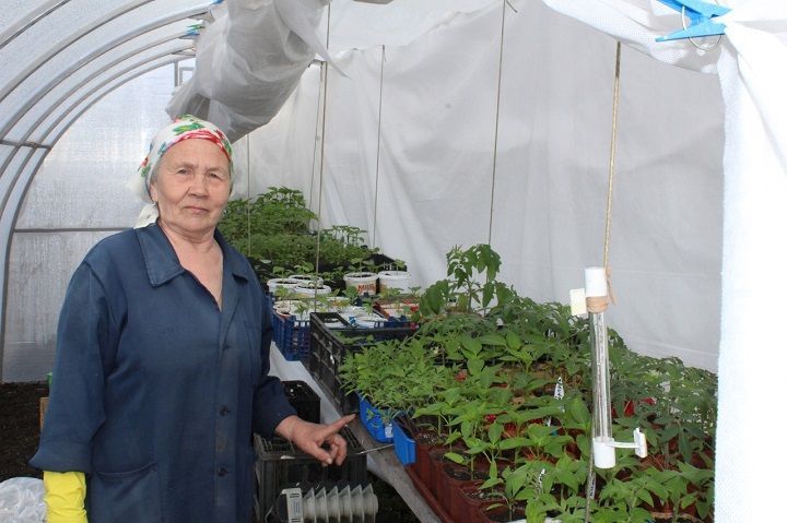Опытная огородница и садовод Лидия Сипатрова из Новошешминска много лет выращивает рассаду