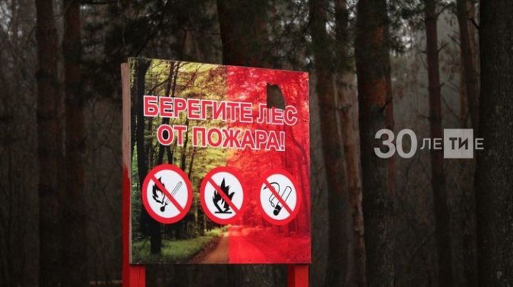 По национальному проекту «Экология» в Татарстане будут созданы две новые лесопожарные станции
