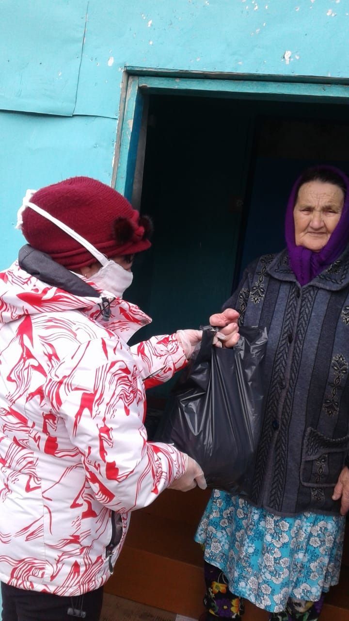 Волонтеры Новошешминского района обслужили более 60 пожилых людей