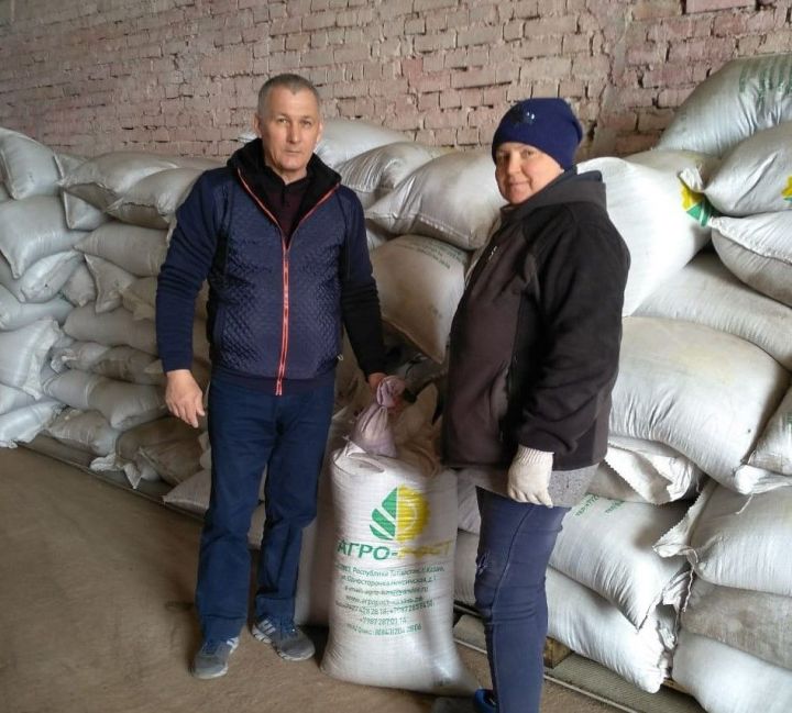 Качество семян в хозяйствах Новошешминского района