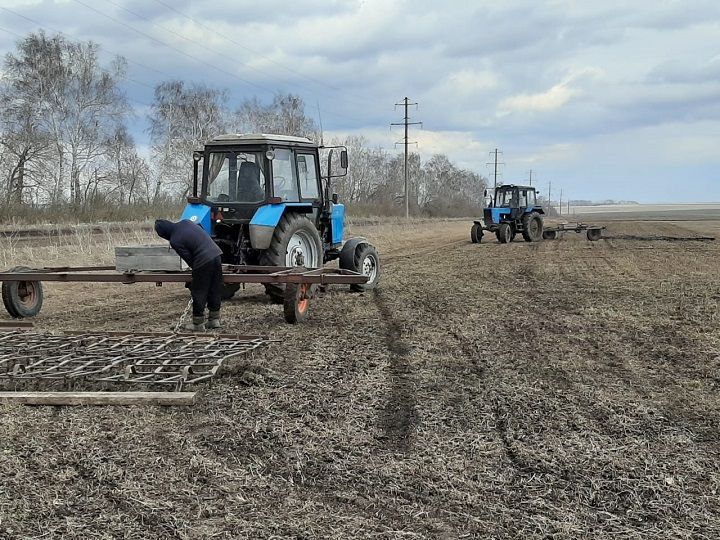 Новошешминские земледельцы работают на полях