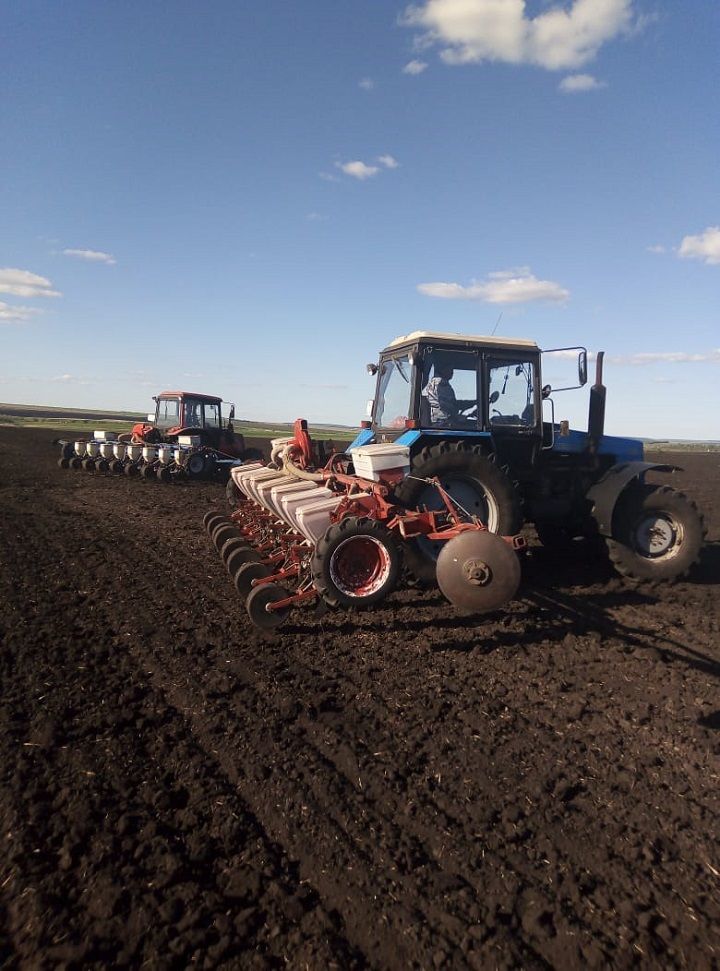 Ряд мелких фермерских хозяйств Новошешминского района запаздывают с севом