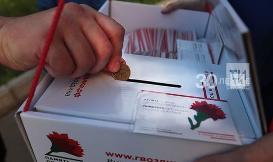 В РТ в онлайн-режиме стартовала памятная акция «Красная гвоздика»