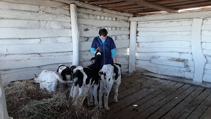 Начинающие фермеры Новошешминского района осваивают гранты