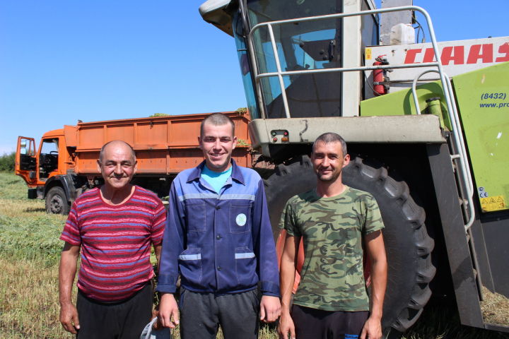В ООО «Агро-Основа»  Новошешминского района продолжается закладка сенажа