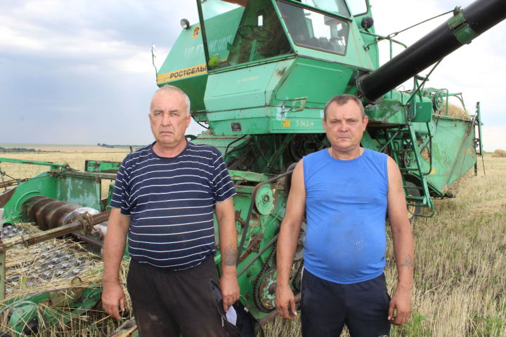 В Новошешминском районе  стартовала уборка урожая