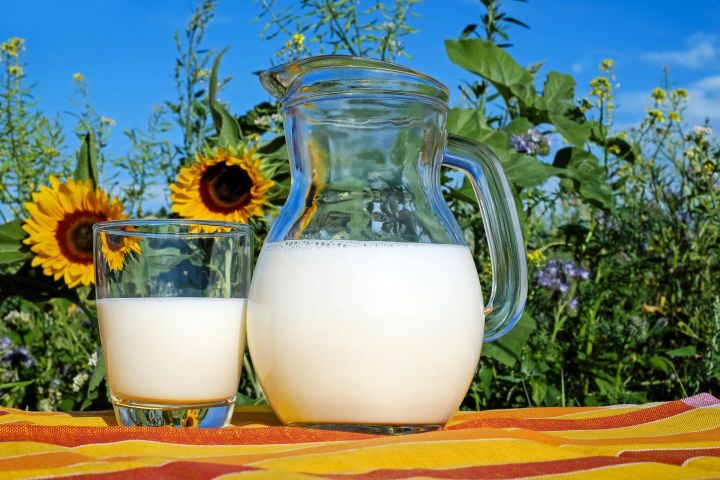 Сельхозформирования Новошешминского района ежедневно продают молоко на 1,5 млн. рублей
