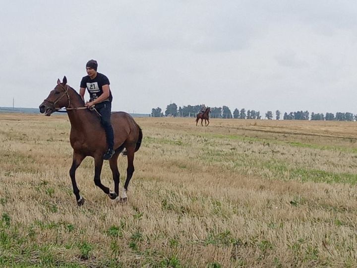 В селе Ак Буре Новошешминского района прошел праздник конных скачек