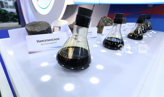 Президент РТ: Татарстан богат нефтью, но зарабатывать будем на продуктах нефтепереработки