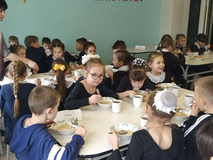 Все учащиеся Новошешминского района охвачены горячим питанием