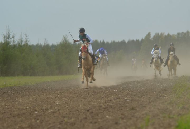 Минсельхозпрод РТ приглашает гостей и спортсменов в Арский район на «День коня»