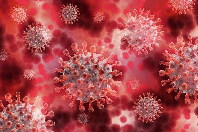 На 17 января в Татарстане выявлено 97 новых случаев коронавирусной инфекции
