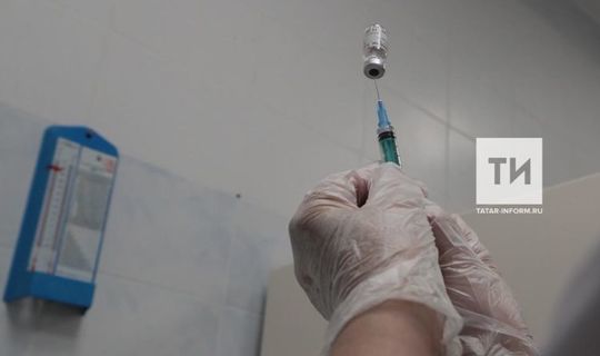 Записаться на прививку от коронавируса можно через портал госуслуг РТ
