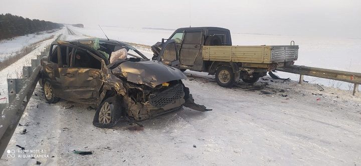 В ДТП в Новошешминском  районе погибла женщина
