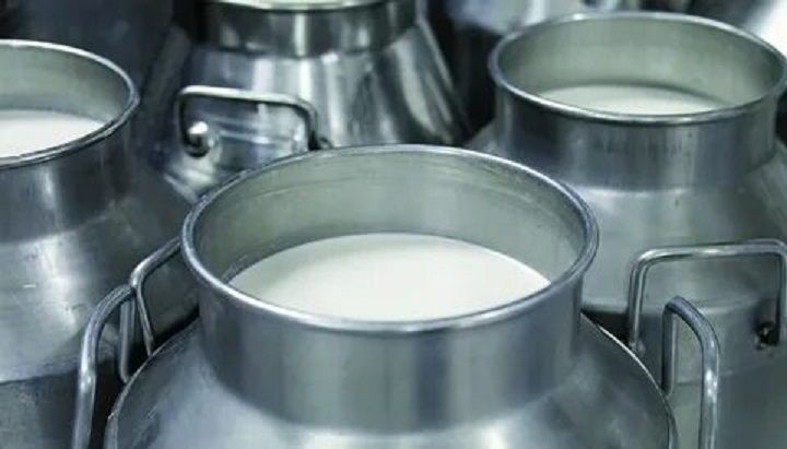 В Новошешминском районе реализация молока – более 50 тонн