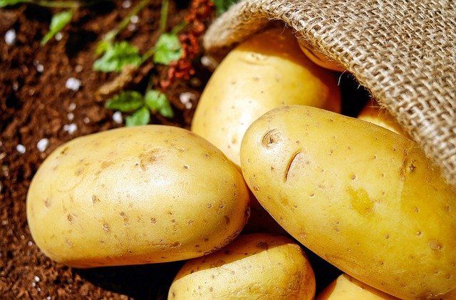 Что делать, если картошка замерзла в погребе или на балконе
