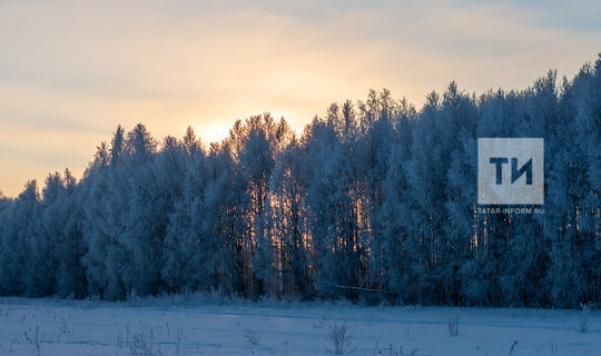 Морозы до -39 градусов сохранятся в Татарстане вплоть до 25 февраля