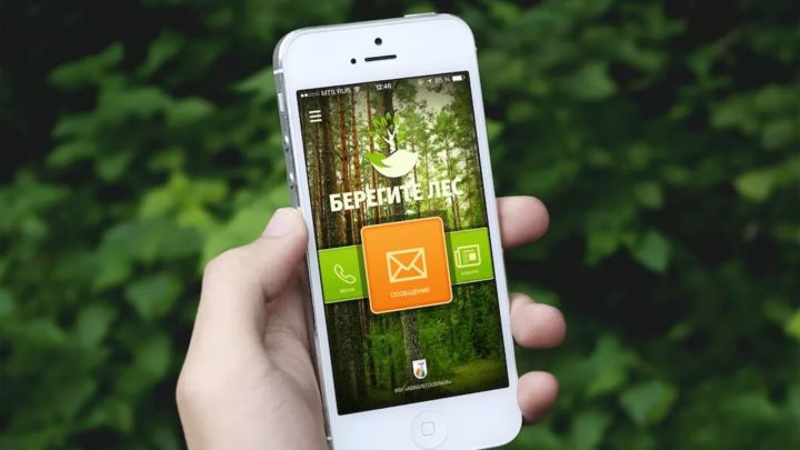 Приложение для телефона "Берегите лес" поможет в оповещении происшествиях в лесу