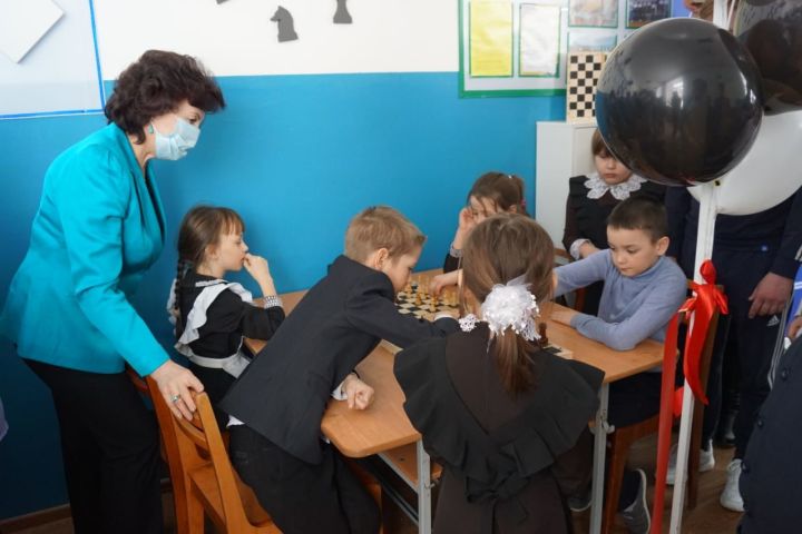 Ещё две шахматные зоны открылись в школах Новошешминского района