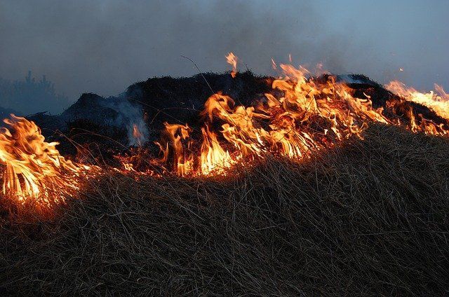 За сжигание травы – штрафы и лишение субсидий