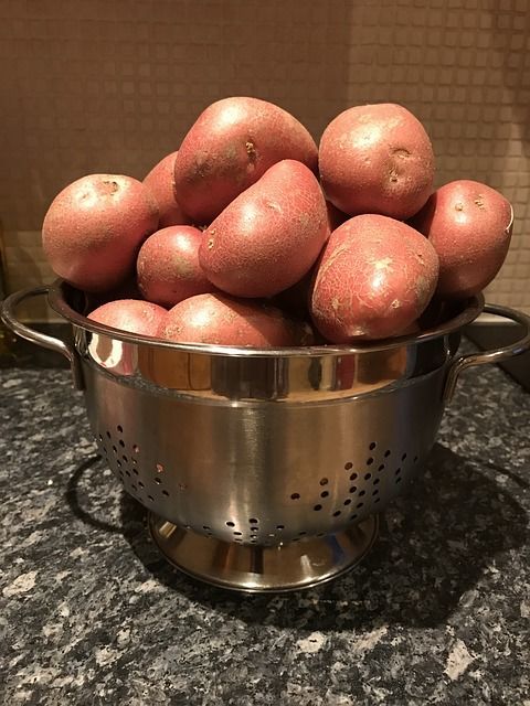 Эксперт рассказала почему вареная картошка становится вреднее