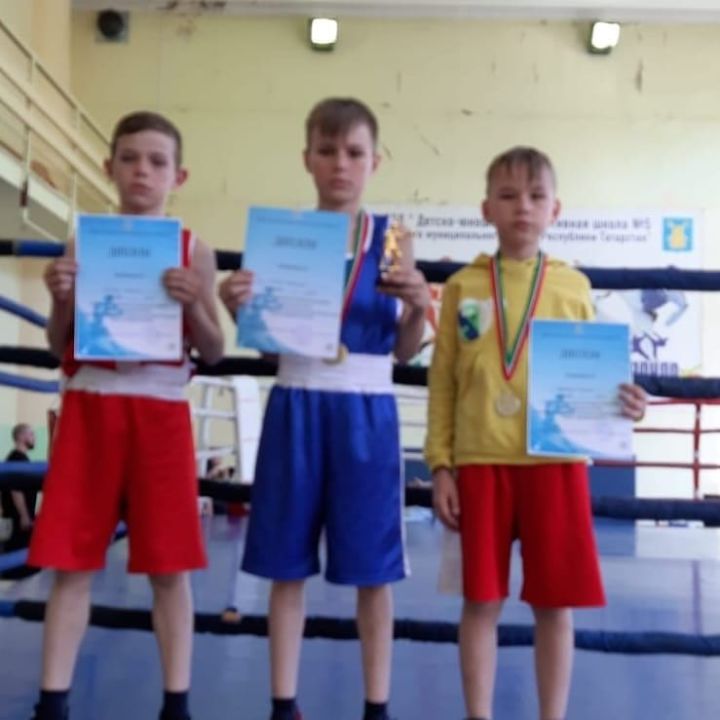 Новошешминские ребята на соревнованиях по боксу заняли призовые места