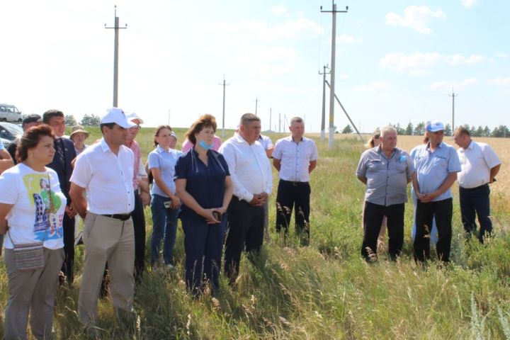 Показатели животноводов Новошешминского района не особо радуют