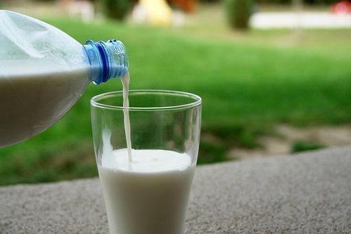 Сельхозформирования Новошешминского района ежедневно от реализации молока получают 1 млн. 684 тыс. рублей.