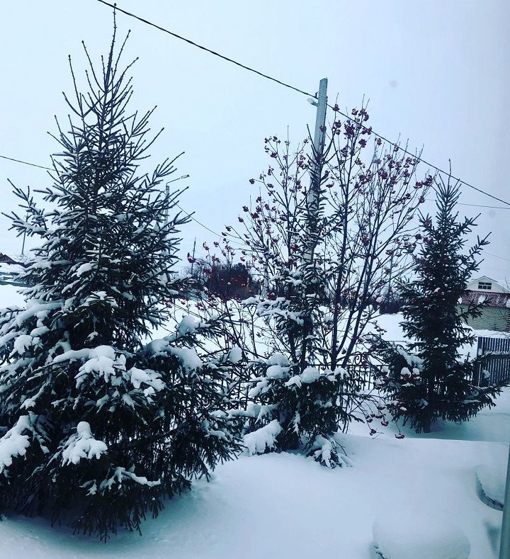 Снежная погода с метелями сохранится в Татарстане до конца недели