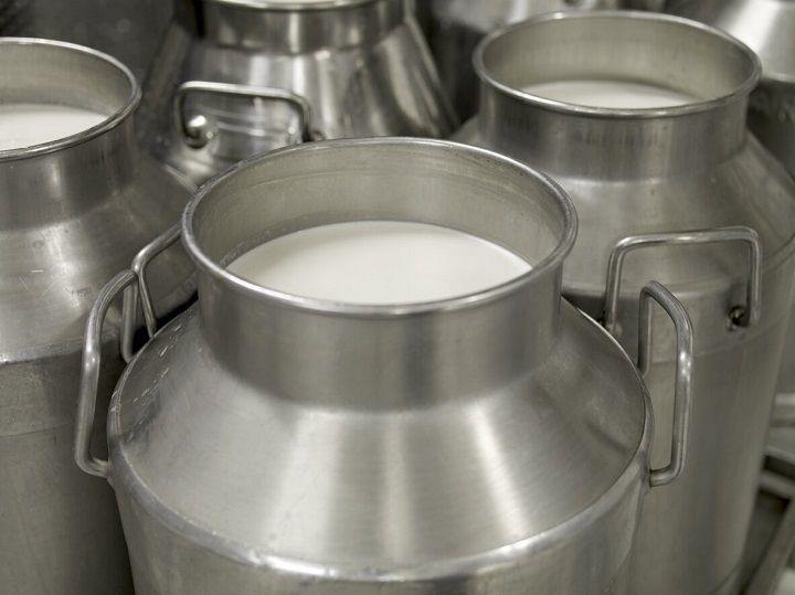 Хозяйства Новошешминского района реализуют молоко по 30,60 рублей за килограмм