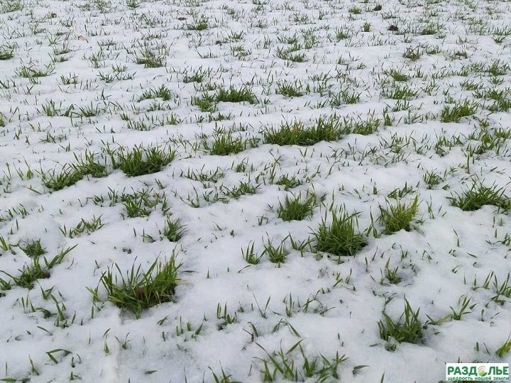 В Татарстане средняя высота снежного покрова на полях увеличилась на 10 – 15 см за неделю