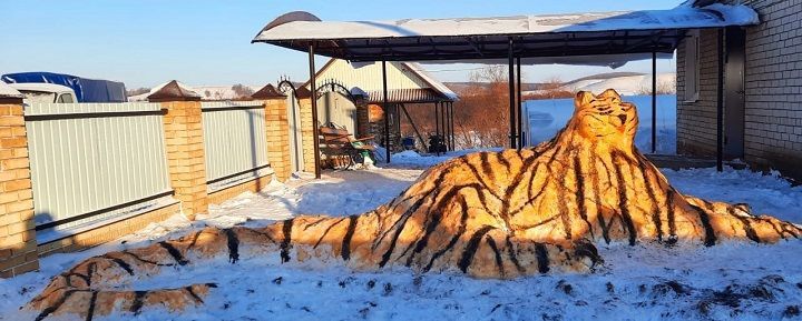 Народным голосованием лучшим признан снежный тигр Жихаревых из деревни Андреевка