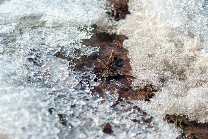 В Татарстане специалисты «Россельхозцентра» оценили состояние посевов озимых культур после осадков в виде ледяного дождя