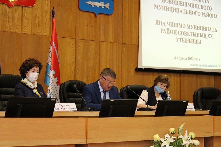 На заседании Совета Новошешминского муниципального района обсуждены вопросы деловой активности населения