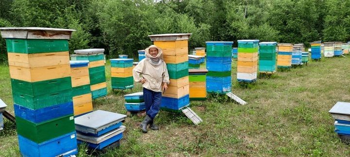 Опытный пчеловод из деревни Урганча Владимир Кубышкин рассказывает о деле своей жизни