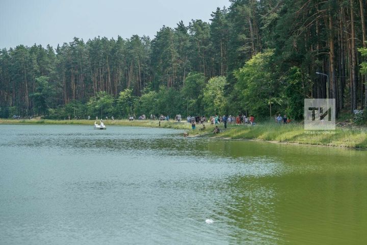 На озере Лебяжьем в столице РТ пройдет первый гастрофестиваль