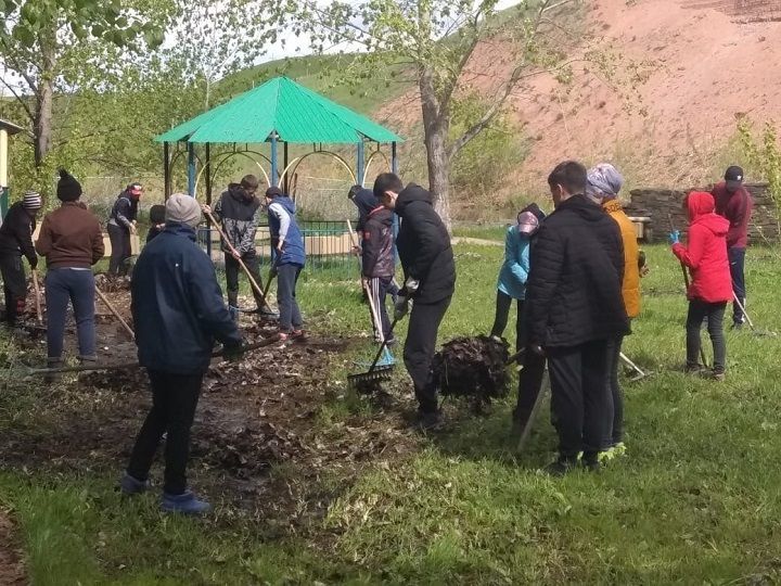 Жители Новошешминского района приняли участие во всероссийской акции «Марафон зеленых дел»