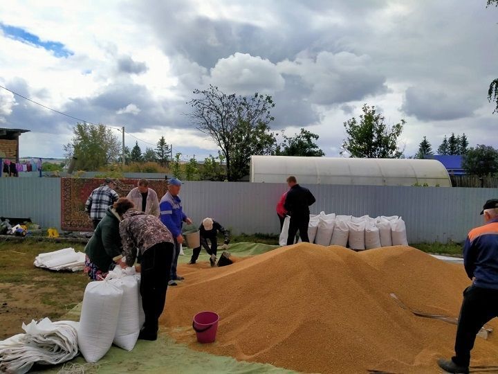 В Новошешминском районе начались расчеты за аренду паевых земель