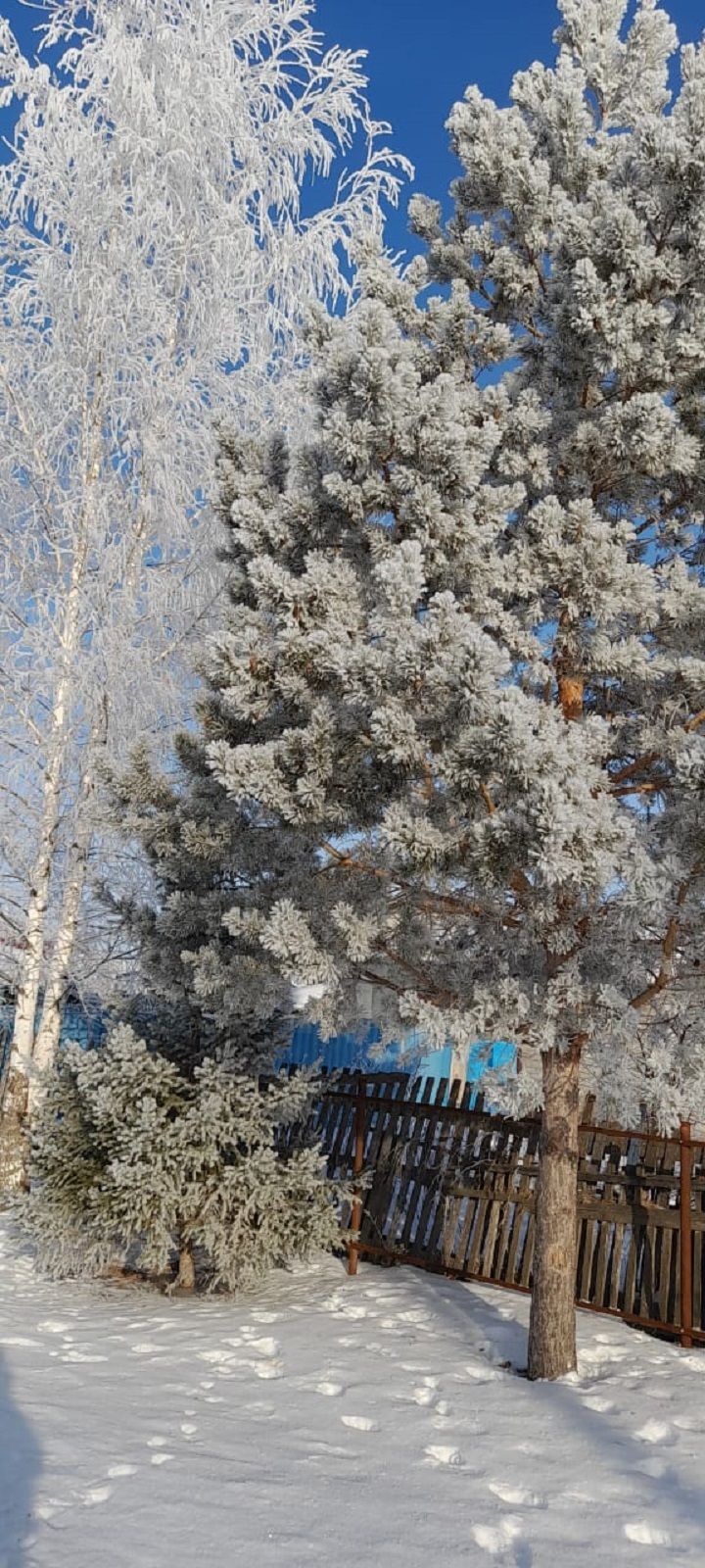 Народные приметы на 25 января 2023 года: что можно и чего нельзя делать в этот день