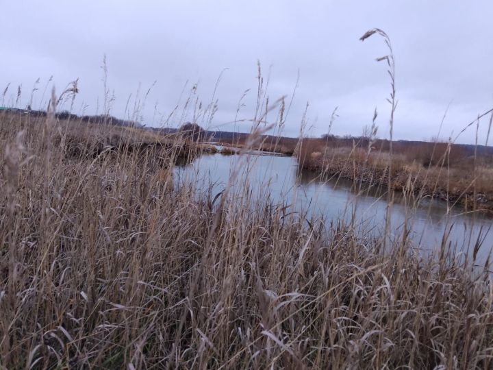 Народные приметы на 13 ноября 2023 года: что можно и чего нельзя делать в этот день